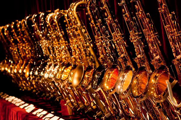 管楽器・吹奏楽器 Wi &F i S1 管楽器・吹奏楽器 Wi &F i S1 Wi &F i S1