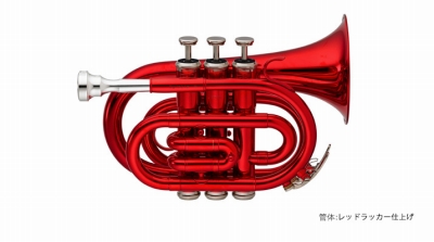 管楽器】手のひらサイズのポケットトランペットをご紹介！｜島村楽器