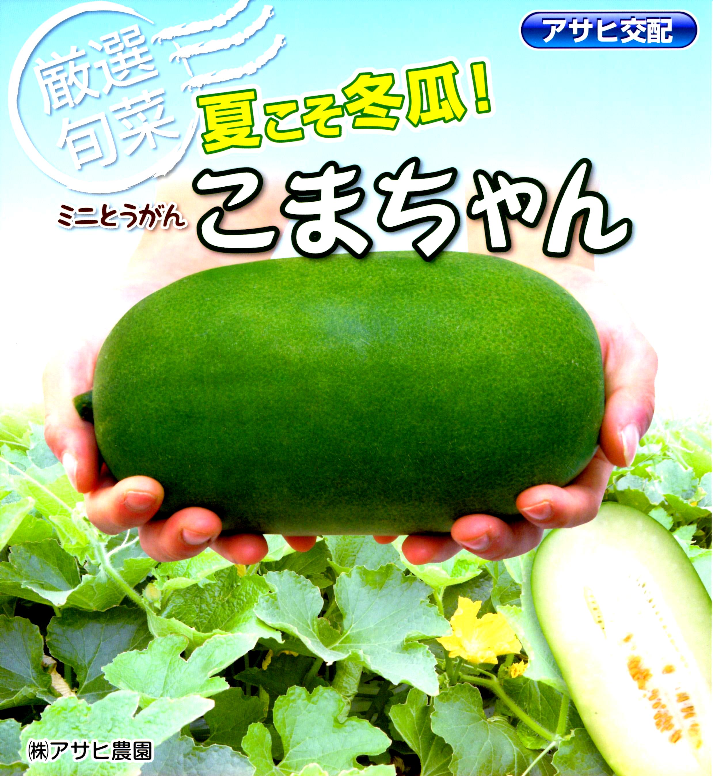 トウガン】 アサヒ交配 ミニとうがん 「こまちゃん」 野菜と花の種・苗