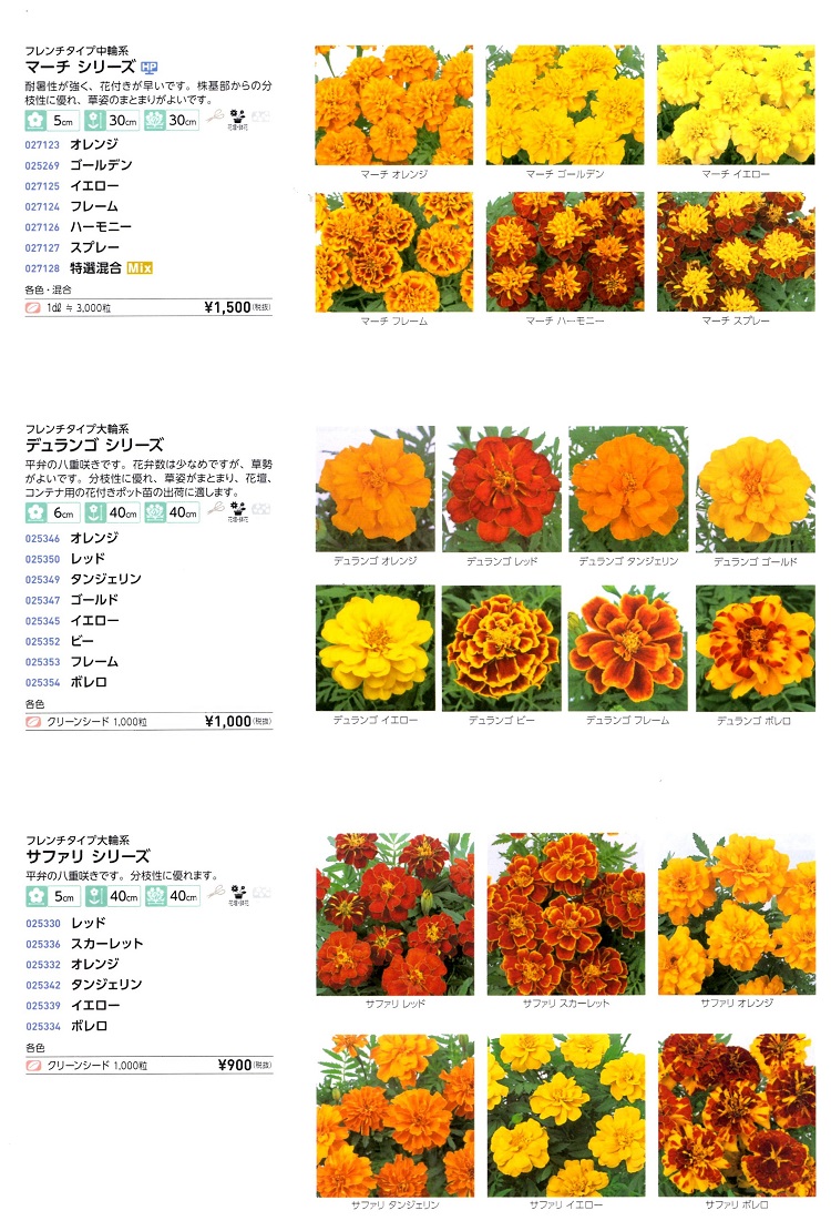 営利用マリーゴールド種子】 サカタのタネ フレンチタイプ 「マーチ