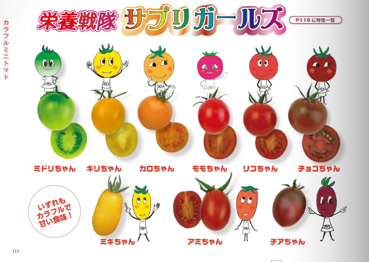 ミニトマト種子】 ダイヤ交配（トキタ種苗） 「カラフルミニトマト」 9