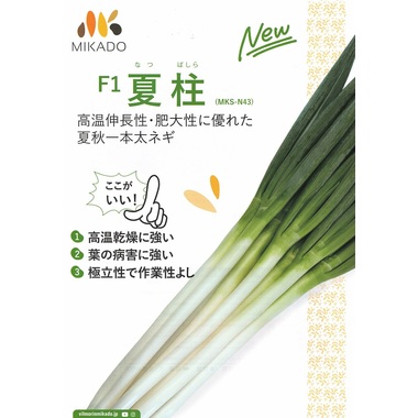 ねぎ 関羽一本太 ペレット種子5千粒 （株）トーホク : グリーンロフト