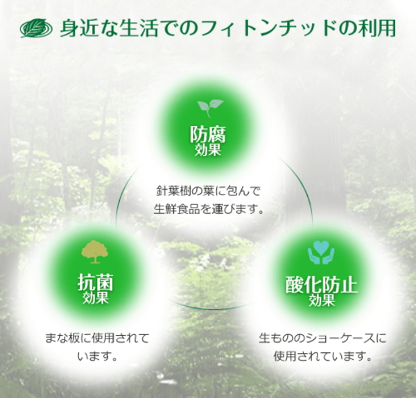 空気サプリメント「フィトンエアーmini（SD-1000）」の販売【信州健康