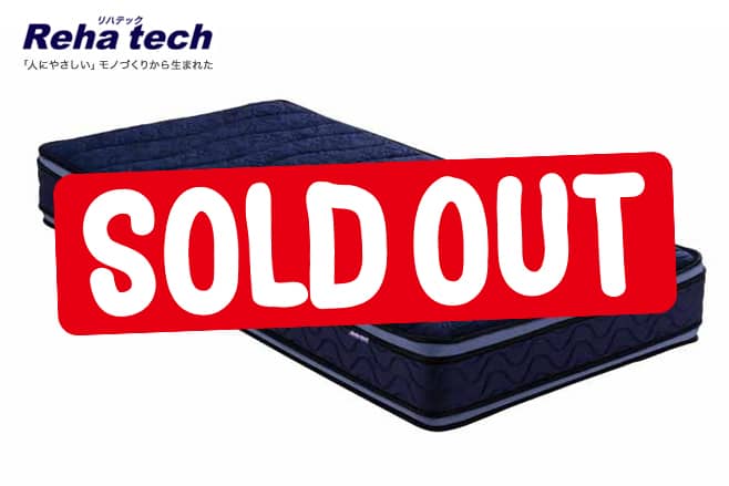 フランスベッド ﾌﾞﾚｽｴｱｰｴｸｽﾄﾗ両面使用 RH-BAE-DLX | 福岡県下最大級の