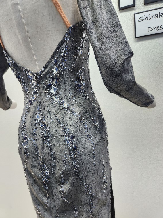 試着・レンタル・購入】エリザベスカラーが印象的な、グレーのラテン