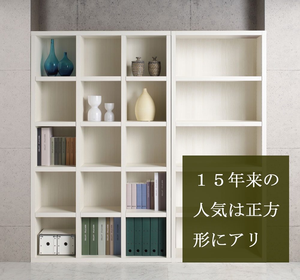 組立いらずなA4ファイル収納可能な大容量収納棚・2列5段【書斎家具屋】