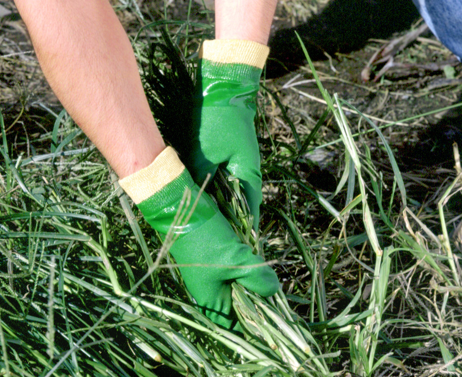 グリーンジャージ | SHOWA