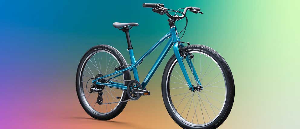 SPECIALAIZED JETT 16 グロススモーク/フレークシルバー 子どもの成長