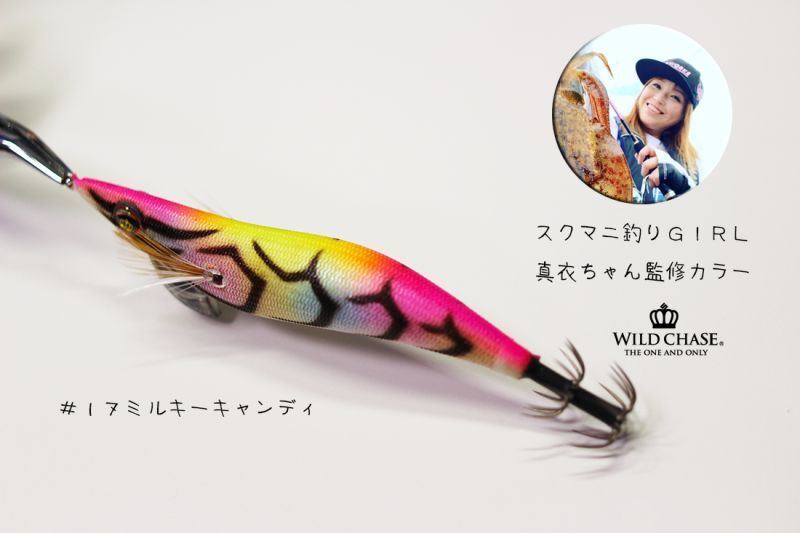 WILD CHASE 3.5号シャロー (17) MILKY CANDY - エギングショップ SQUID