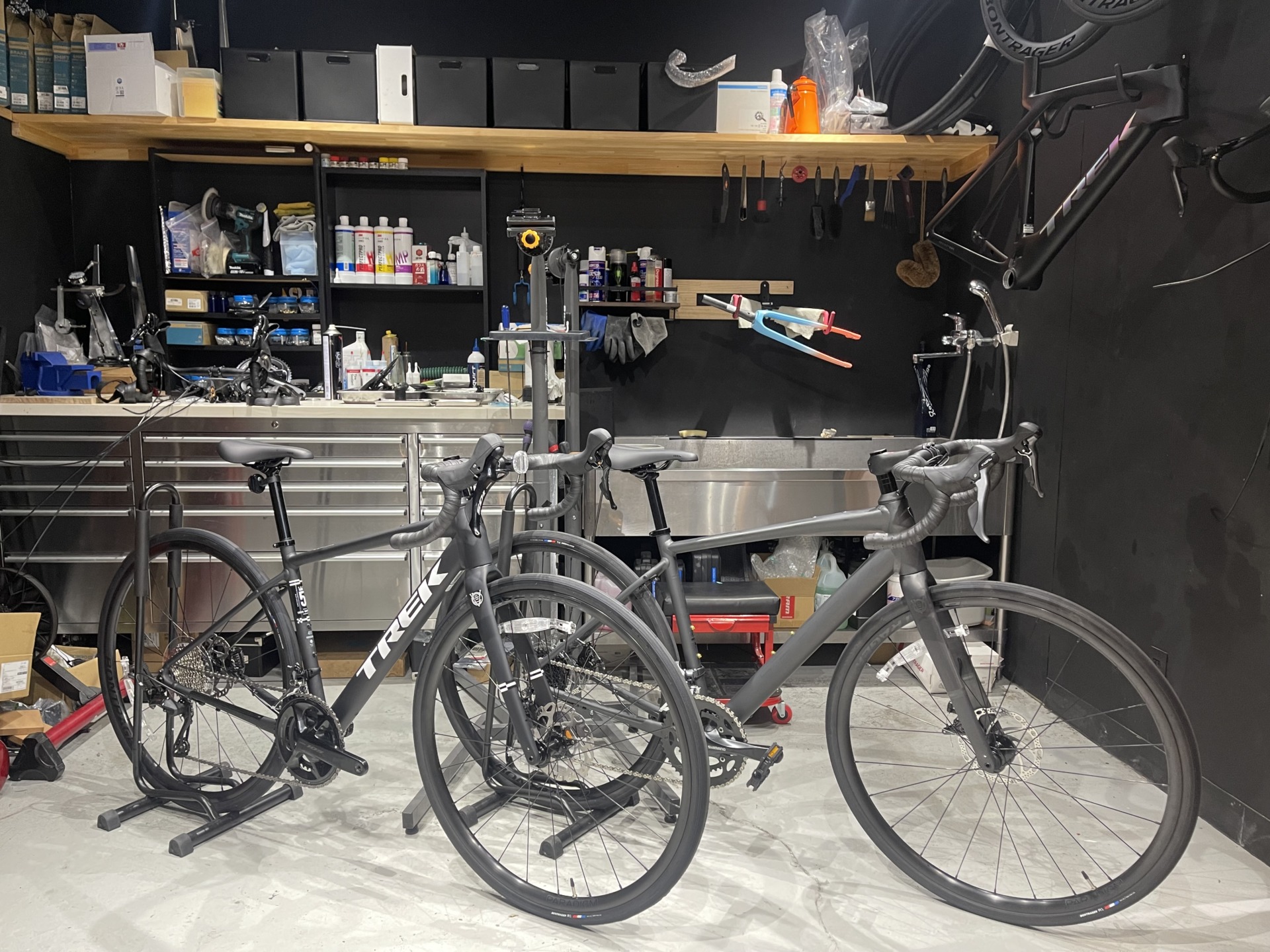 2025 TREK Domane AL 5 Gen 4 (¥259,000) | スターバイクス