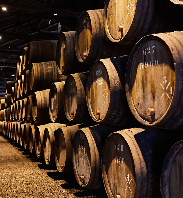 2022年｜世界初・世界唯一の発酵ヴィーガンスキンケア『ガラテア』は