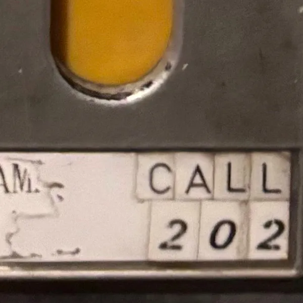 S.A.R. / 202 [10inch - PCJA-00191]：JAPANESE：アナログレコード専門