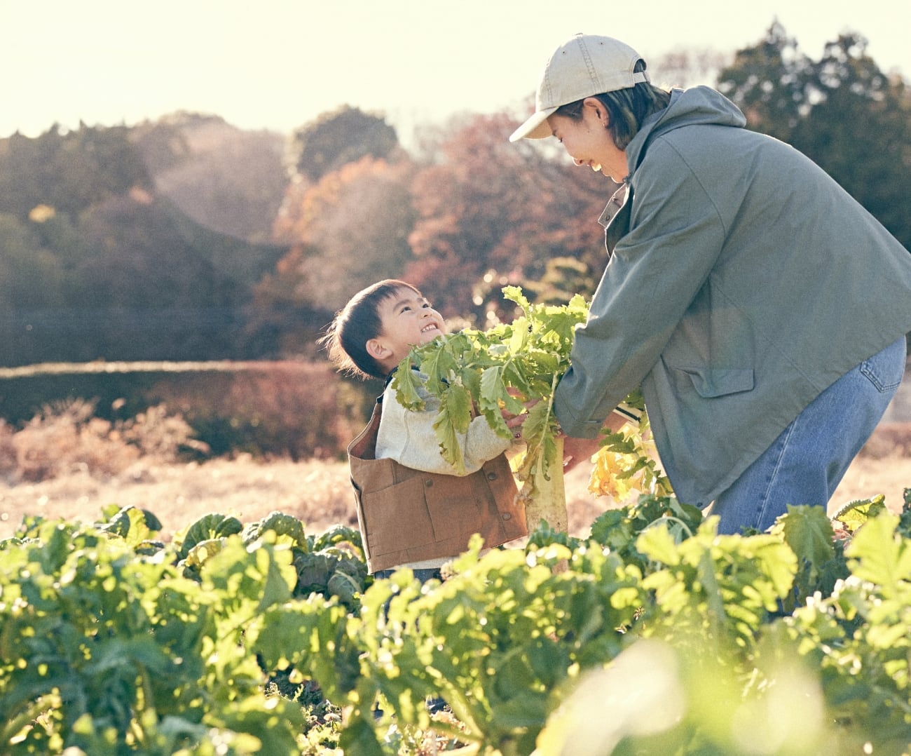 ストライダーサンライズピンク｜ストライダースポーツモデル2025年限定