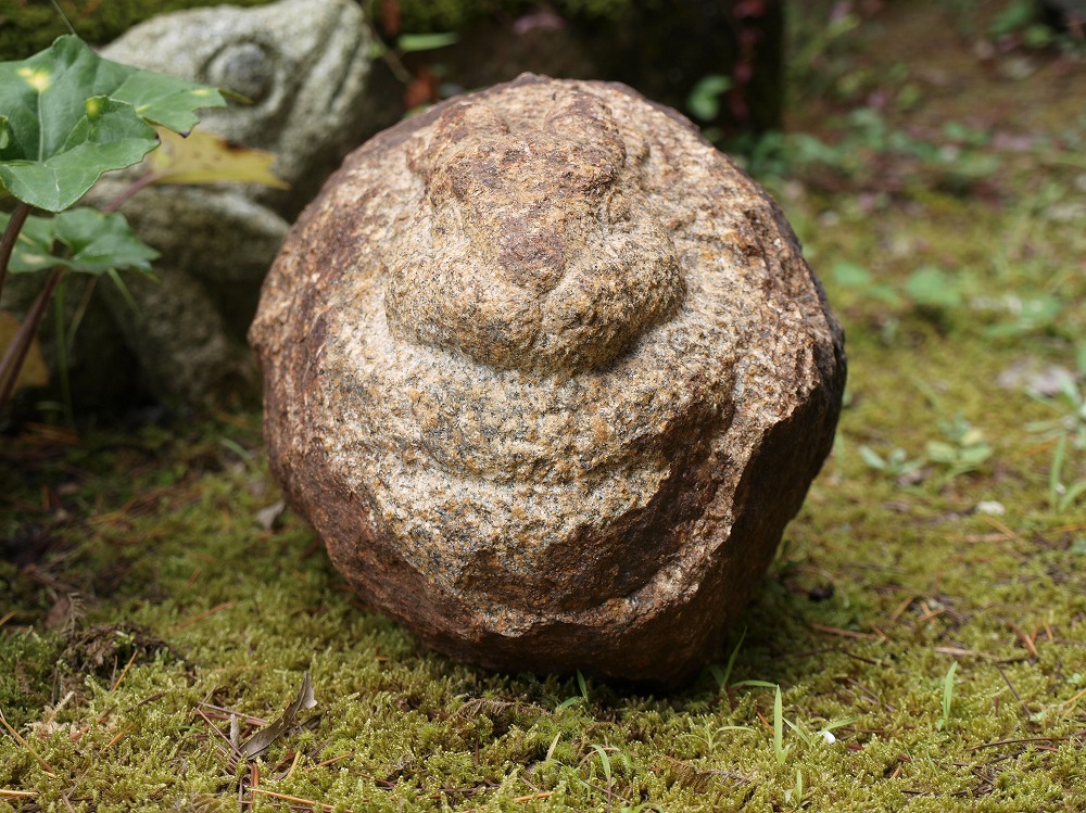 本鞍馬石水鉢 カワスウブ石 みかん彫り 本鞍馬石水鉢 カワスウブ石