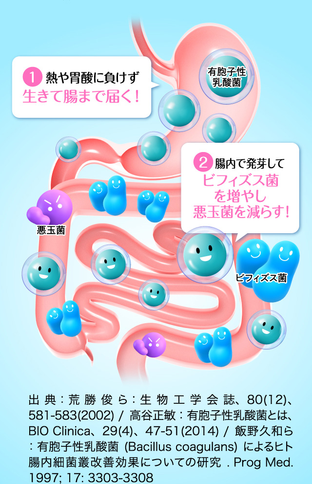 公式】シボヘール3｜ ハーブ健康本舗