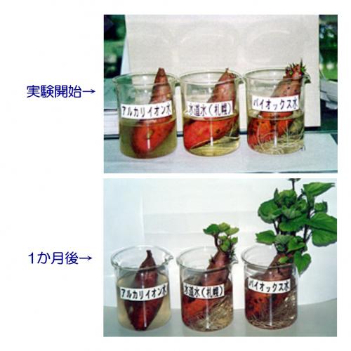 スマイク / 磁気活水器 スーパーバイオックス N-K25 埋設兼用