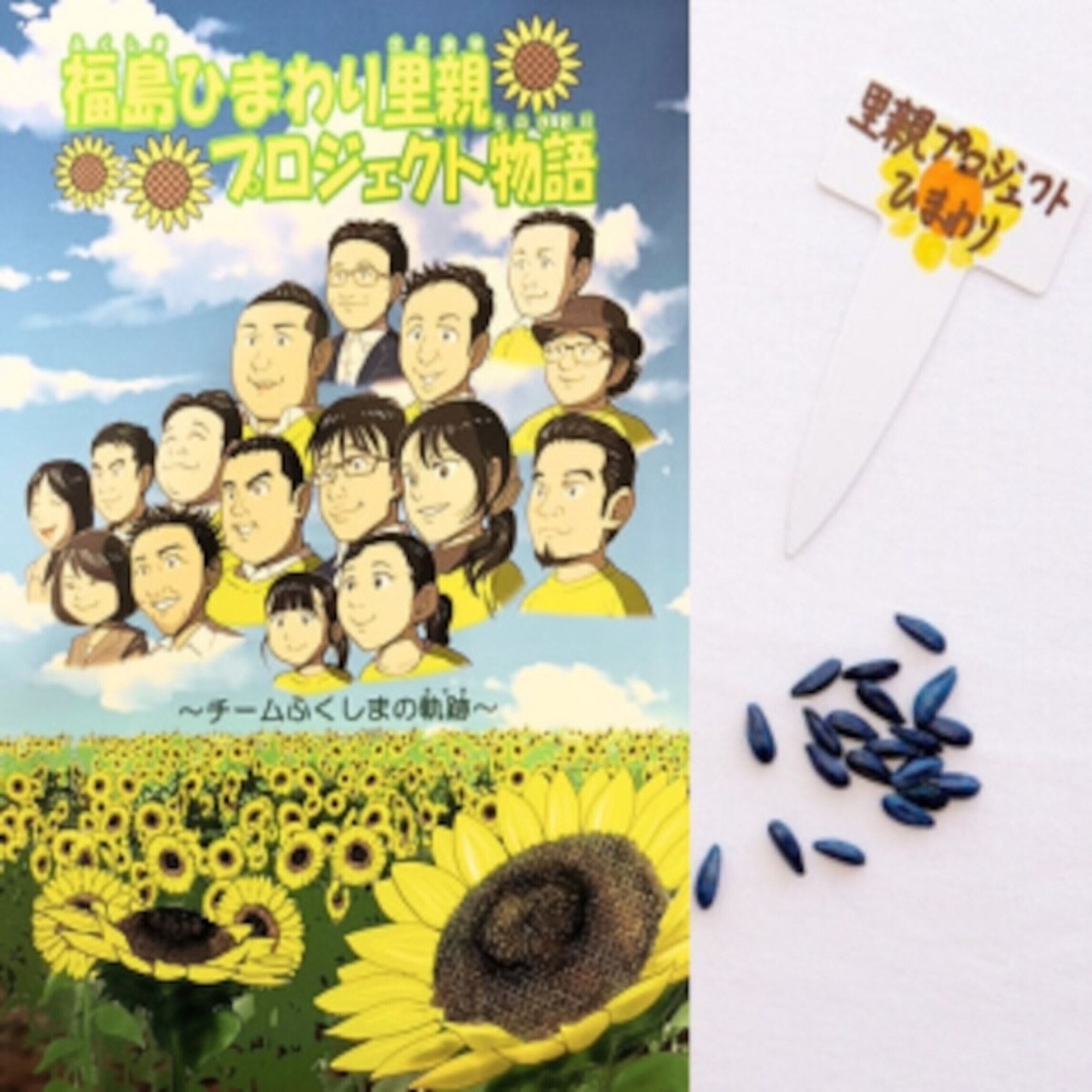 種・グッズを買う｜日本をひまわりでつなぐ