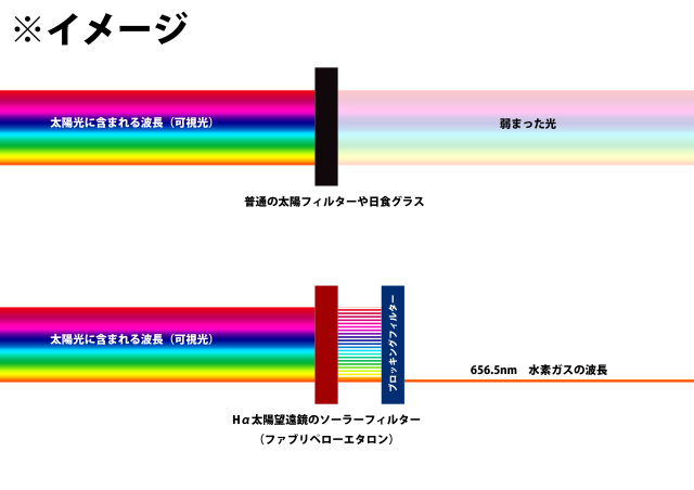 昼間も楽しめる「太陽」の面白さ シュミット