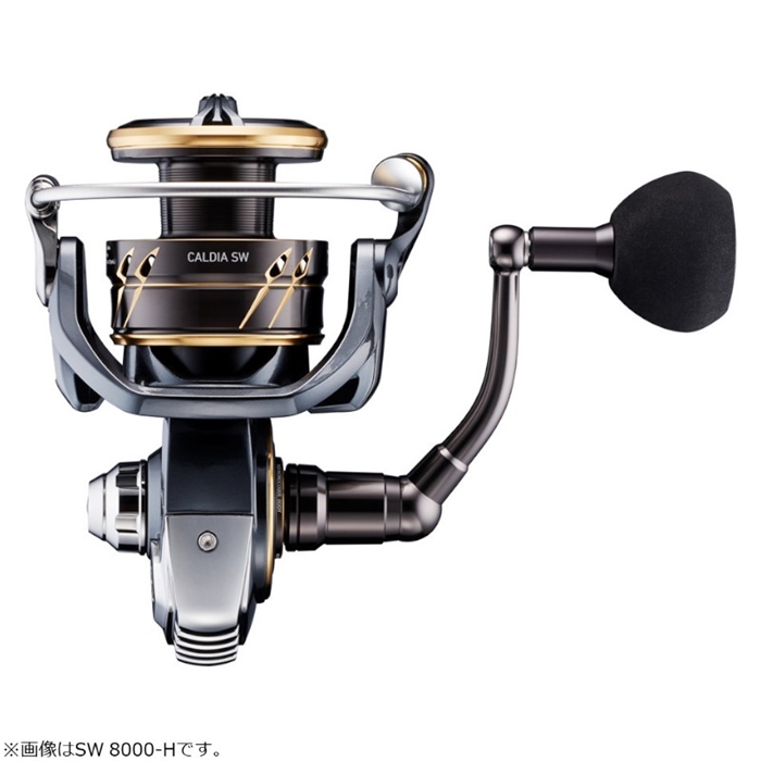 ダイワ カルディア SW 8000-P 23年追加モデル - 釣具のポイント 【公式