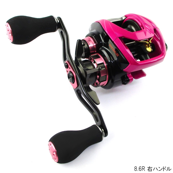 ダイワ 紅牙 TW ハイパーカスタム 8.6R 右ハンドル - 釣具のポイント