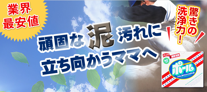 洗剤ポール新品 正規品 送料無料「香り付き・爽やかなフローラルの香り