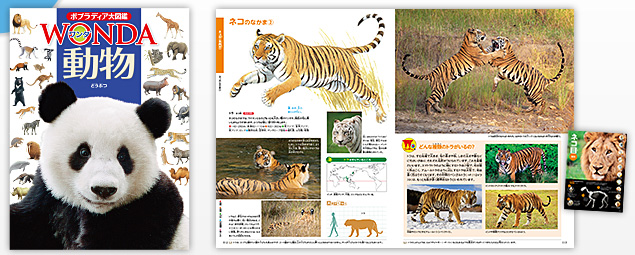 ワンダ WONDA | ポプラディア大図鑑