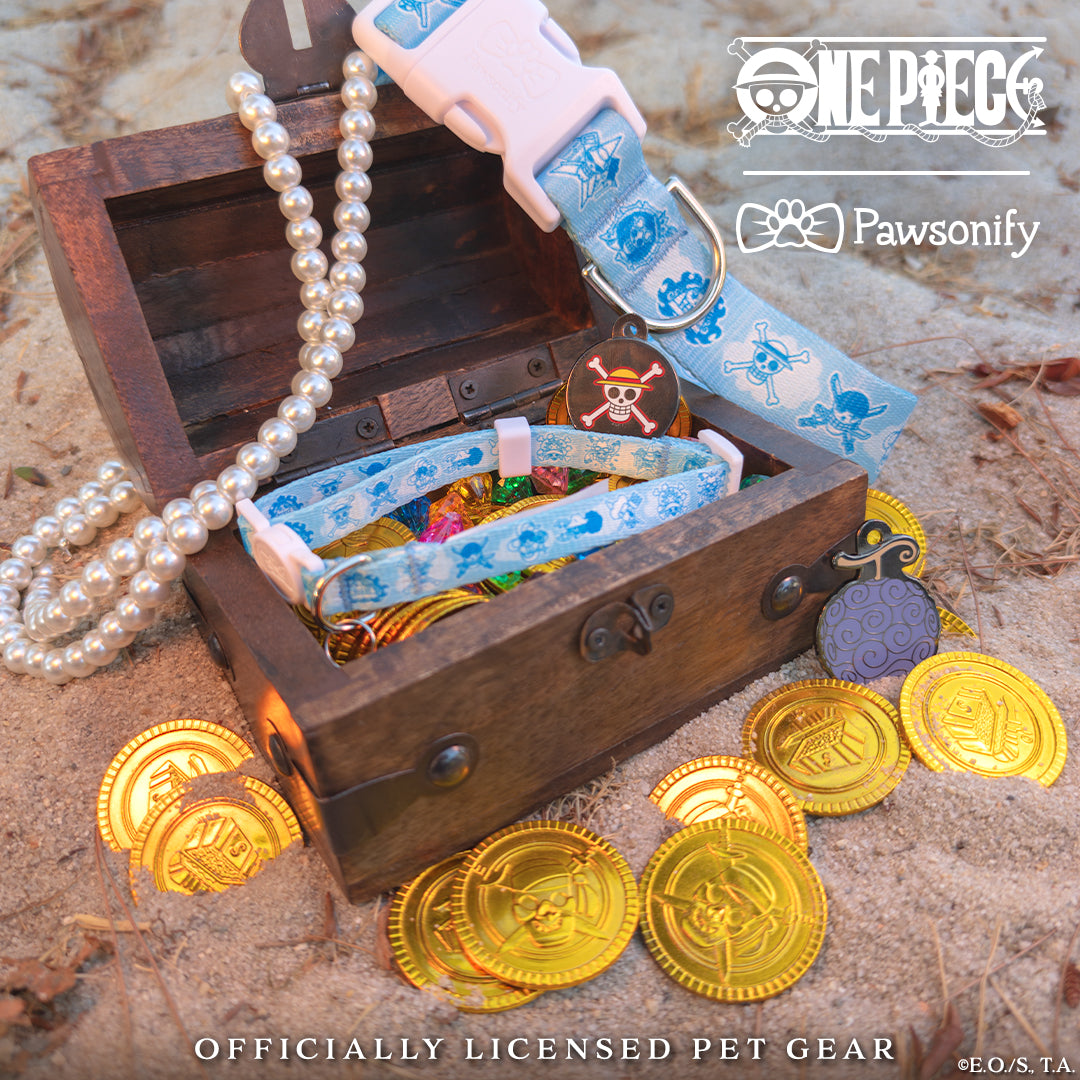 New World Collar | One Piece | Pawsonify