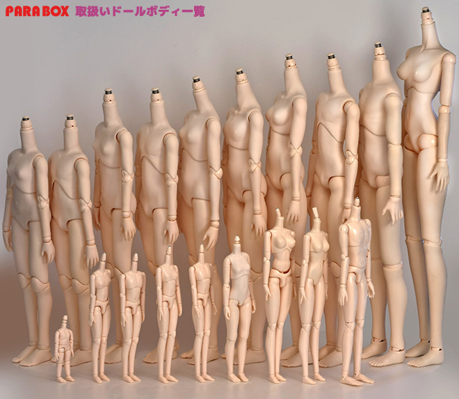 オビツボディなど1/6～1/3ドールボディ・ドール素体｜カスタムドール