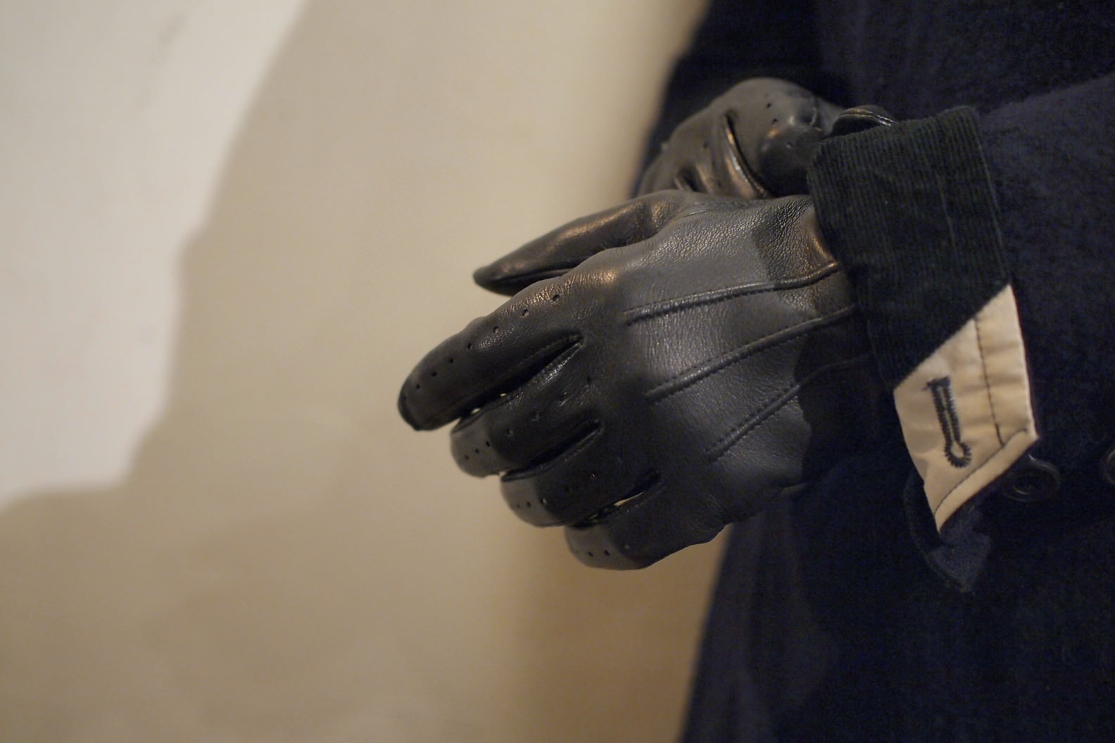 DENTS 007 SPECTREpeau de l'ours | peau de l'ours（ポードルルス