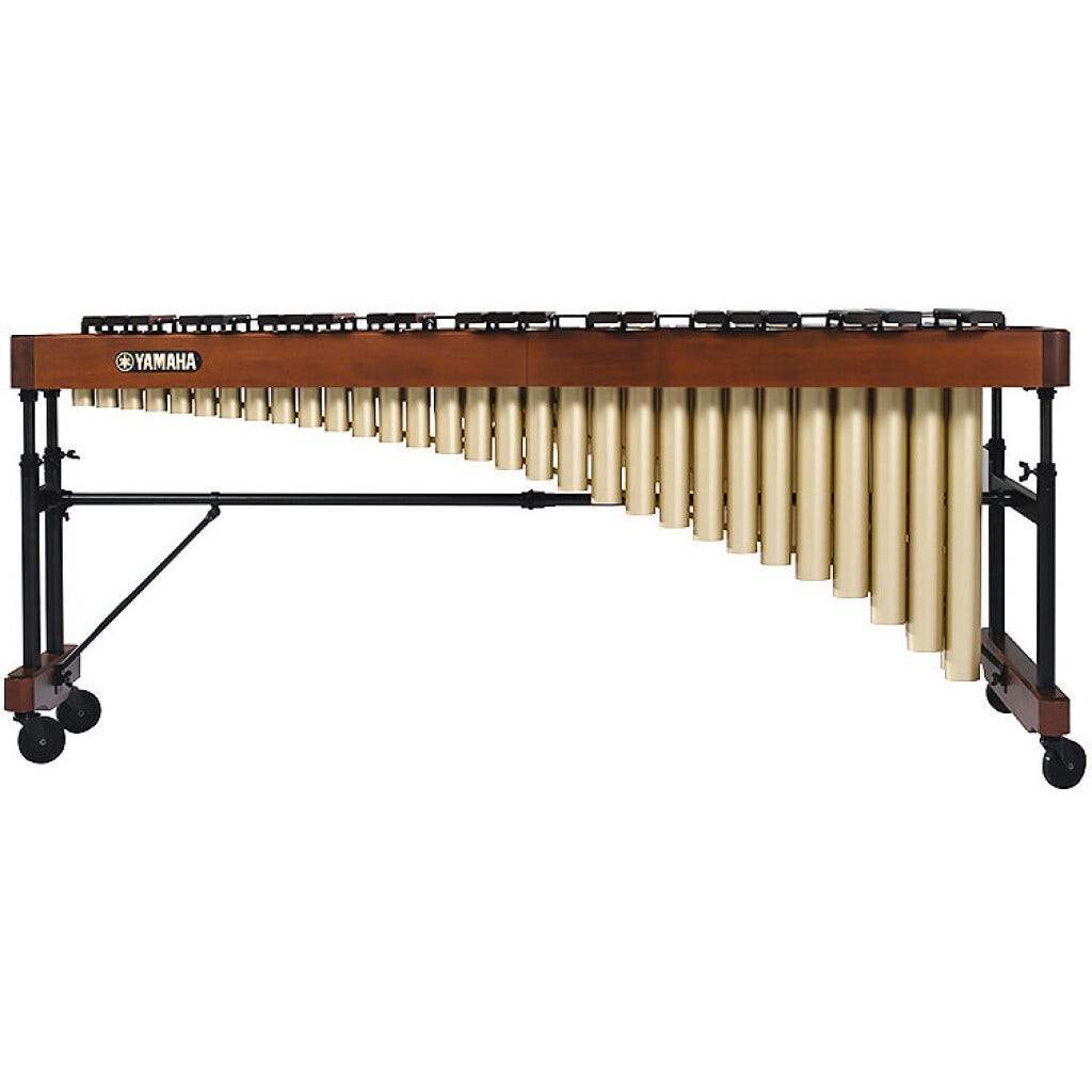 YM4600.jpg?optimize=medium&fit