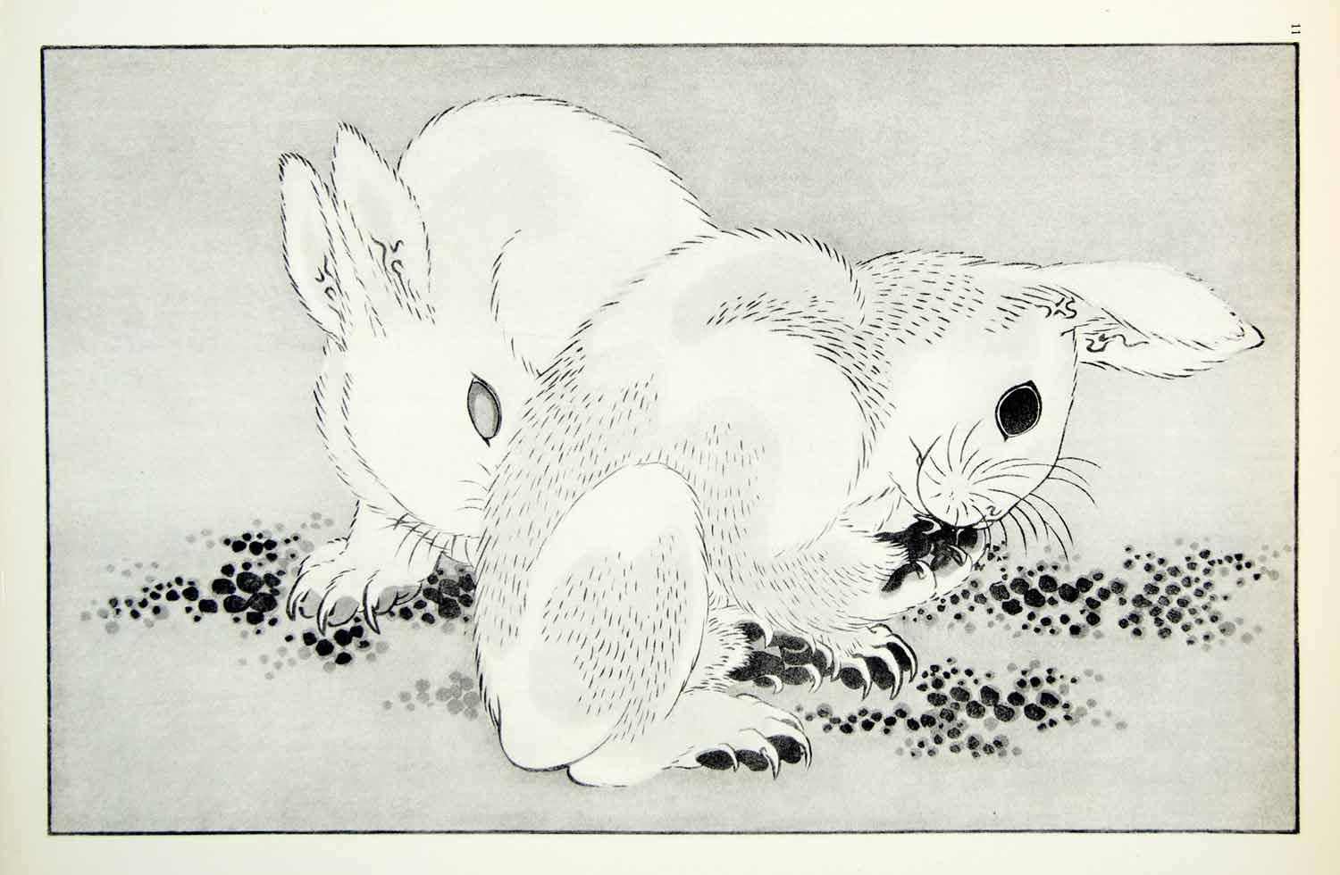 1955 Rotogravure Hokusai Shashin Gwafu Rabbits Bunnies Cute