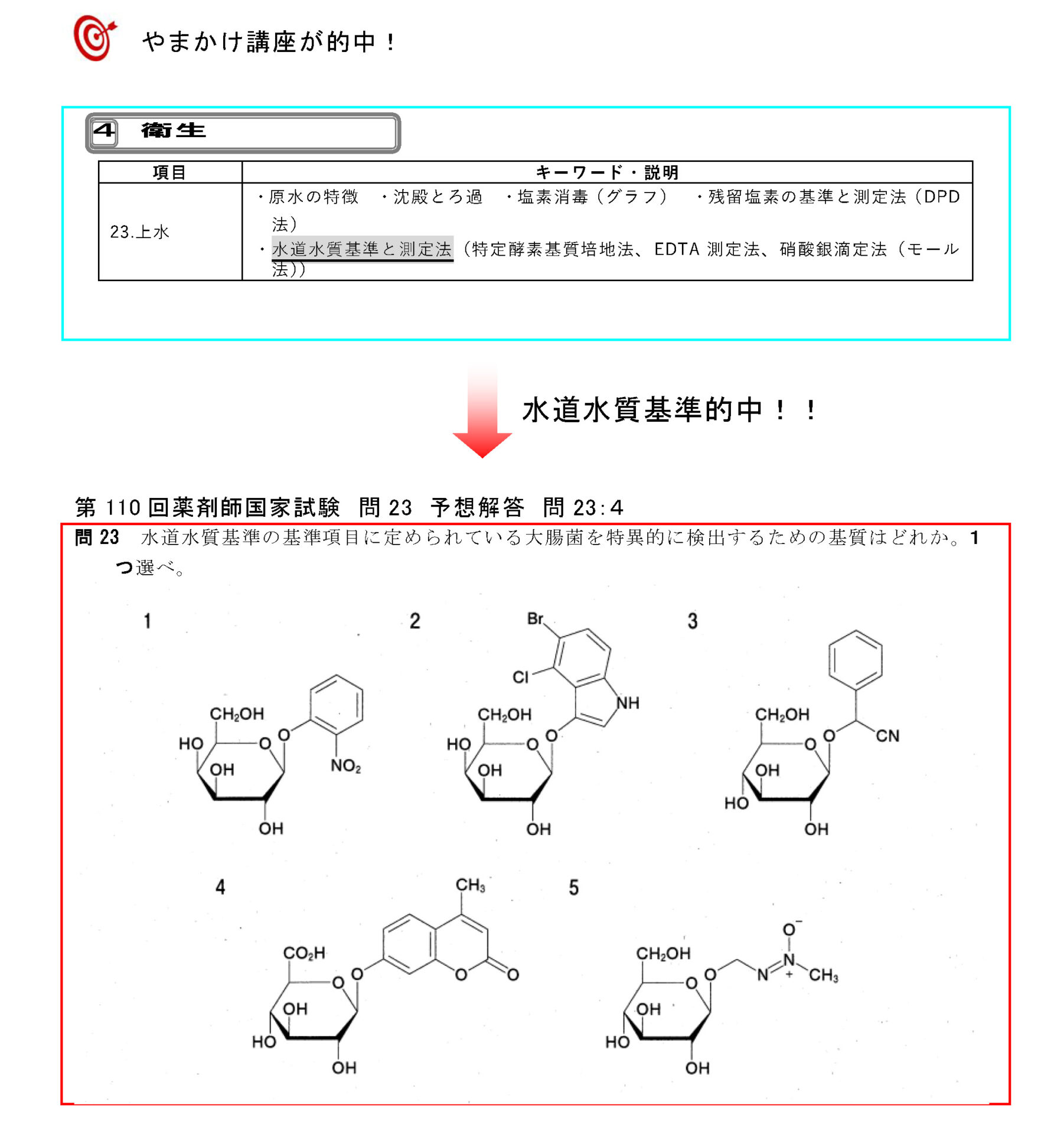 第110回 薬剤師国家試験 的中問題 | 薬剤師国家試験対策予備校