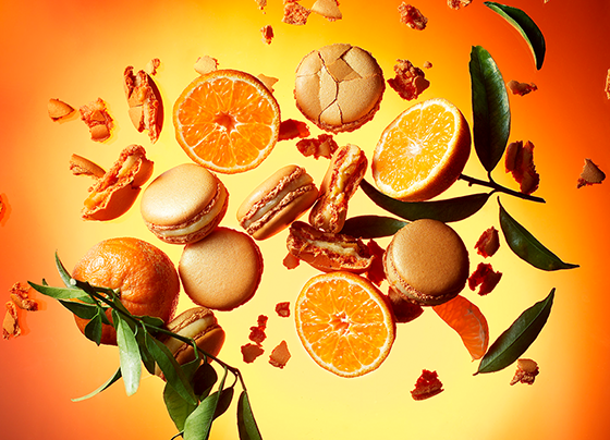 8月のマカロンフレーバー | ニュース & お知らせ | ピエール・エルメ