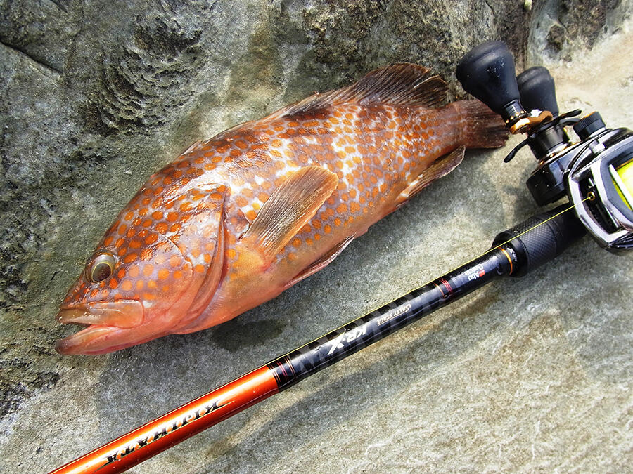 Salty Stage KR-X Kizihata SXKS-822M-KR