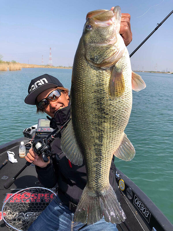 ROXANI BF8 (ロキサーニBF8)｜AbuGarcia｜釣具の総合メーカー ピュア