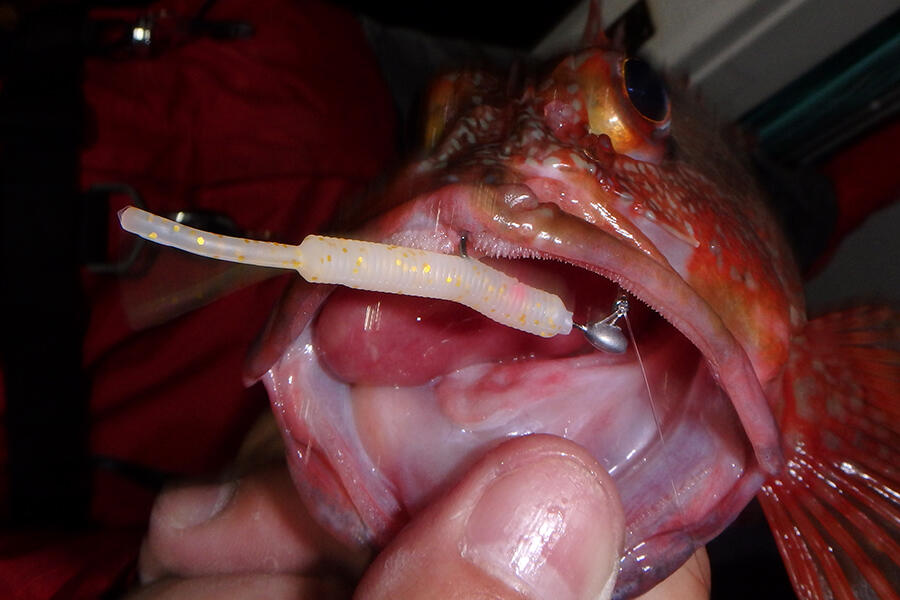 Gulp!Saltwater Baby Sardine 2inch (ガルプ！ソルトウォーター ベビー