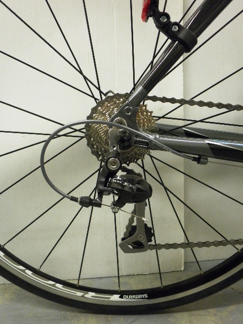 Bianchi 2011年モデル Camaleonte5(ビアンキカメレオンテ5) 入荷しま