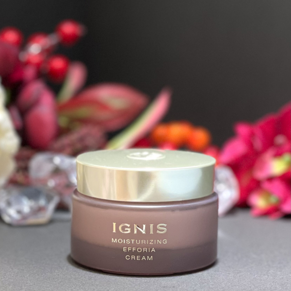 イグニス限定キット🌟秋冬おすすめ🍂イグニス最高級シリーズ ❝エフ