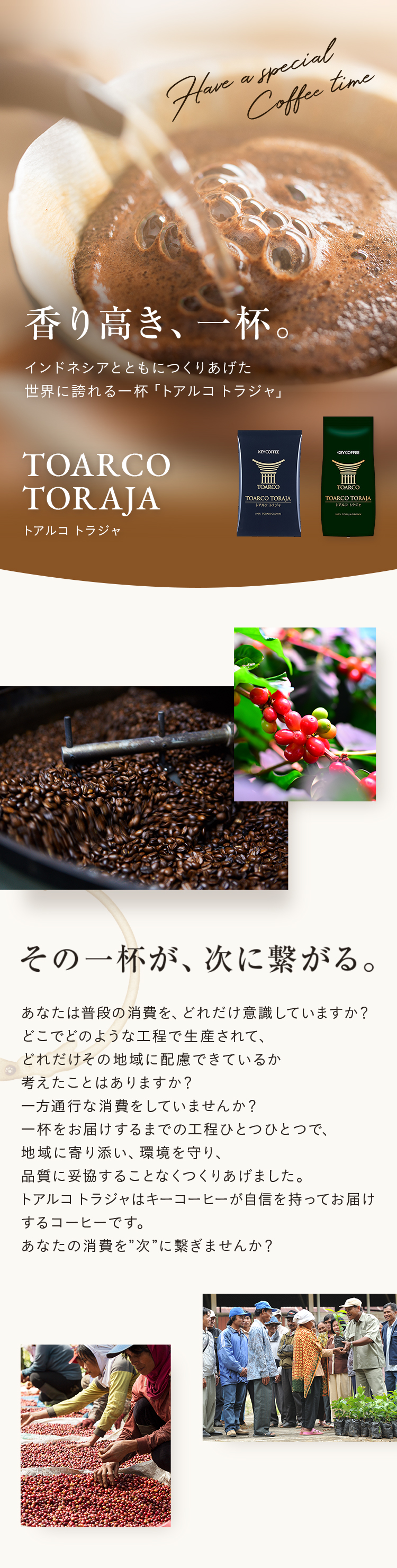 楽天市場】トアルコ トラジャ 豆 200g × 1個 スペシャルティコーヒー