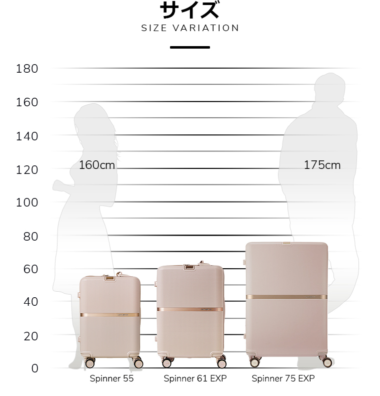楽天市場】【78時間限定】対象P10倍☆19日20:00-23日1:59≪公式店