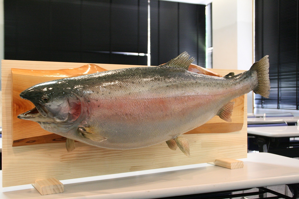 魚類剥製工房＜リアルアート岩井＞