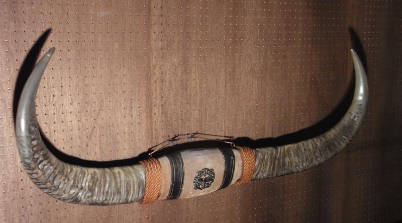 牛の角オーナメント、水牛ツノ BCM 0063