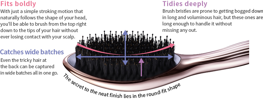 ReFa AILE BRUSH RAY | PRODUCTS | ReFa | MTG Co., Ltd.