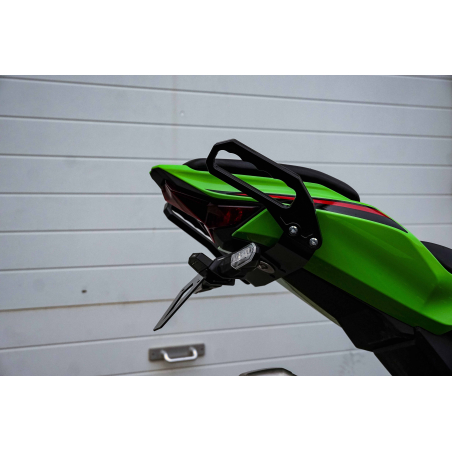 Kawasaki ZX4-R passenger handles