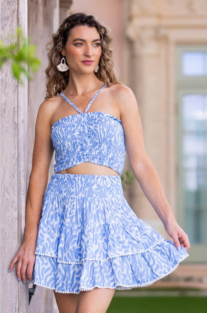McKenna Set Skirt / Periwinkle Zebra – walker&wade