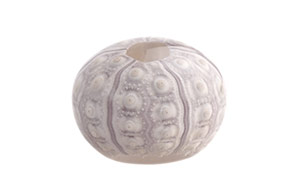 Unimaru ウニマル（バクダンウニ）/ Usagi no Nedoko ウサギノネドコ