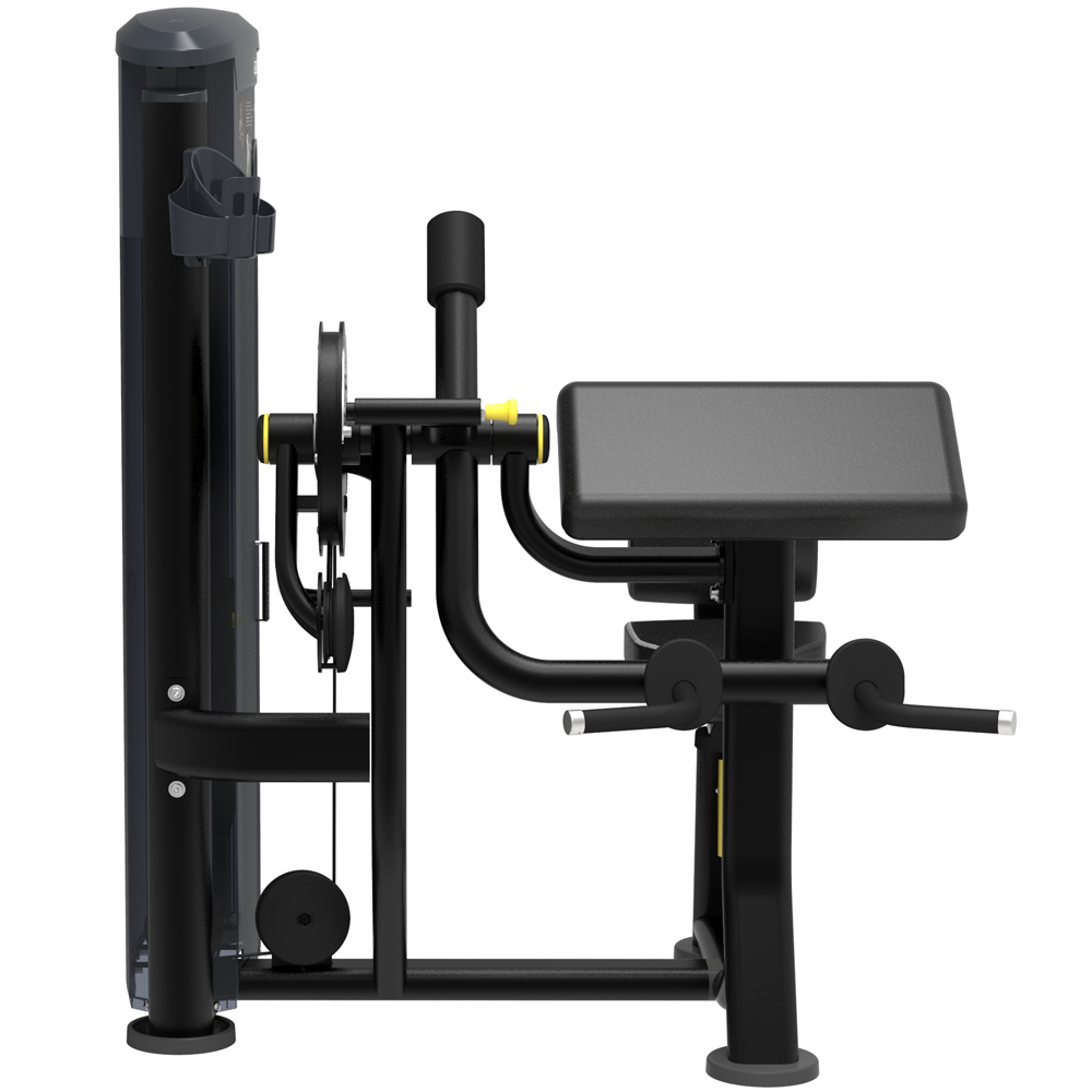 バイセプスカール / トライセプスエクステンション | 上腕二頭筋と上腕