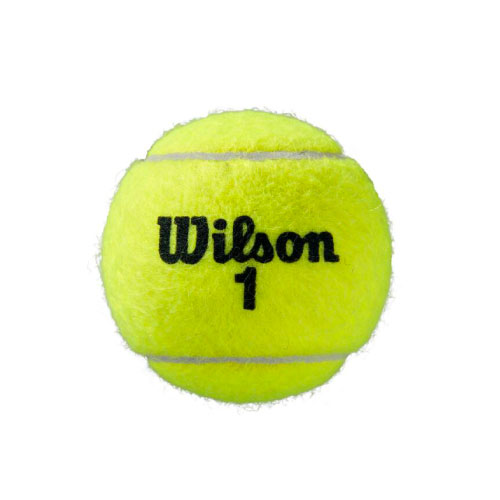 ウインザーオンラインショップウイルソン ローランギャロス クレイ