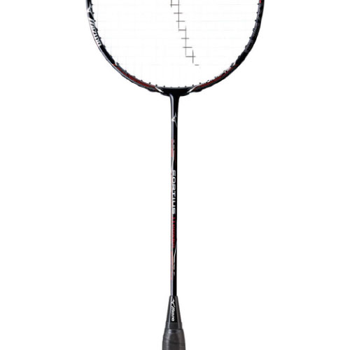 ウインザーオンラインショップ【張り工賃別】ミズノフォルティウス 11