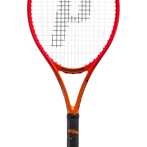 ウインザーオンラインショッププリンス ビースト DB 100 280g（prince